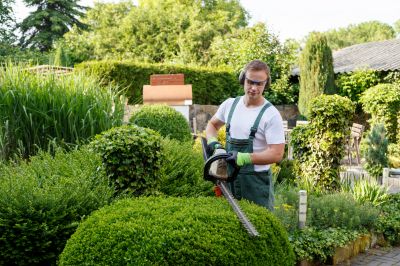 Landscaping Tree Maintenance